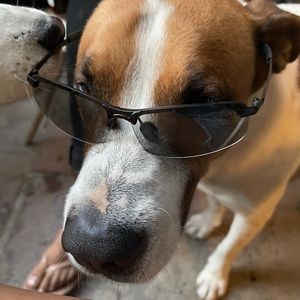 Meet your Posher, Brenny